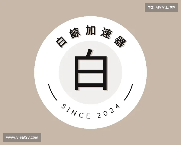 了解白鲸加速器